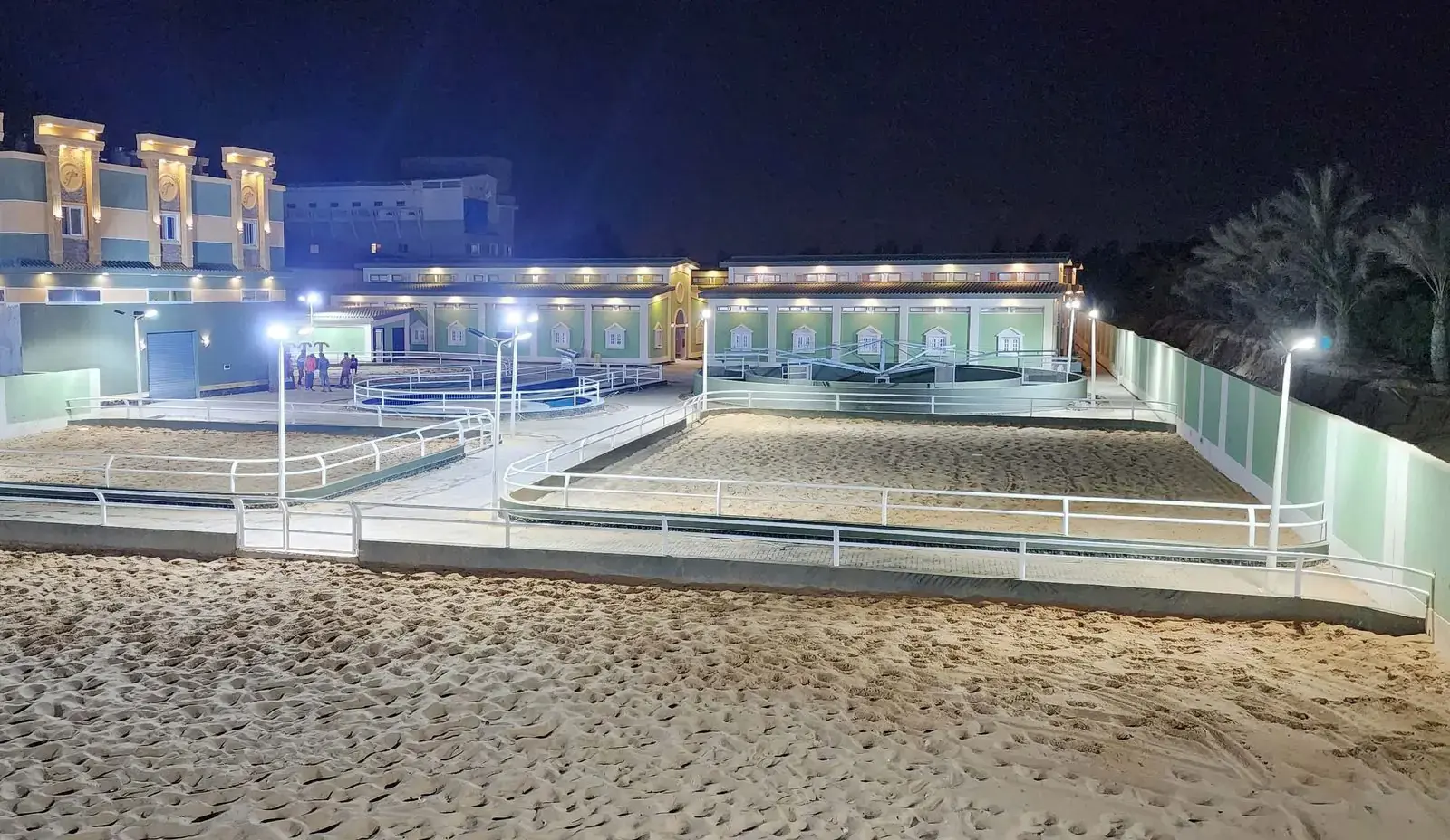 Al Najib Stud — Arabian Horses