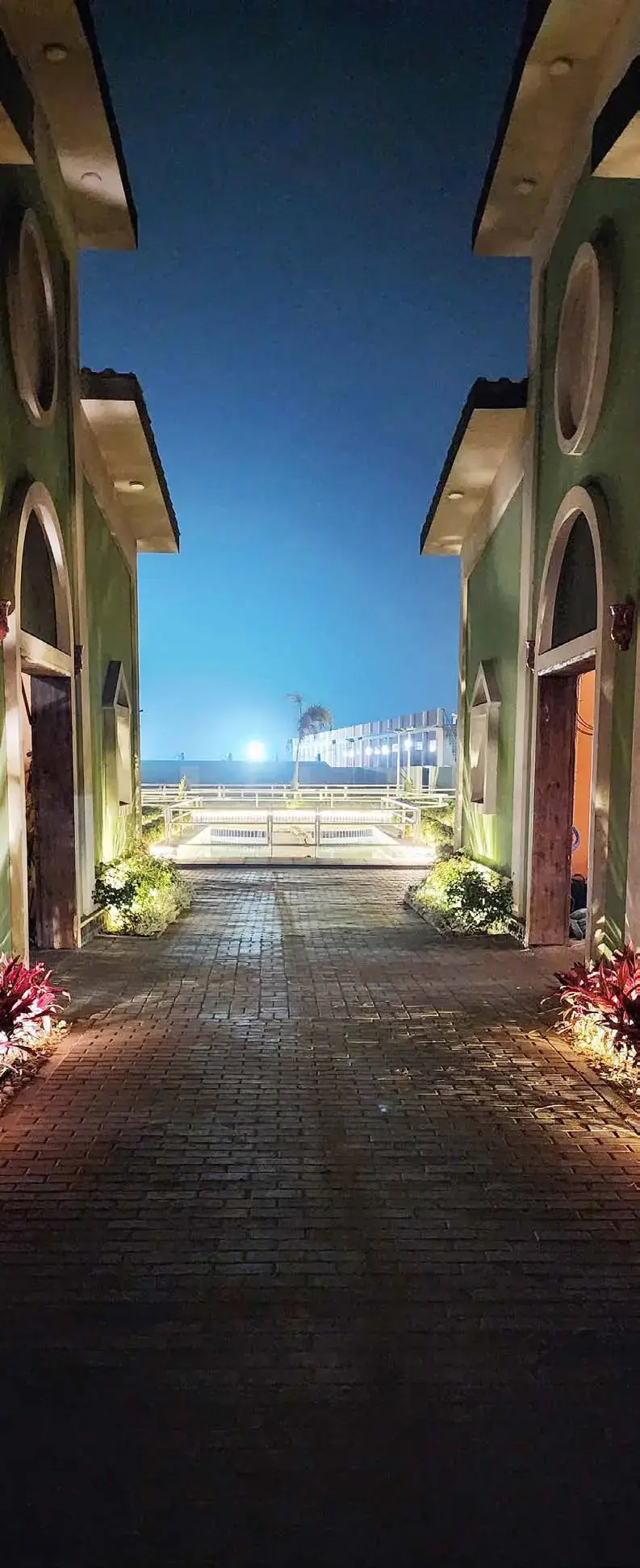 Ergela Al Najib — Arapski konji — fotografija projekta 3