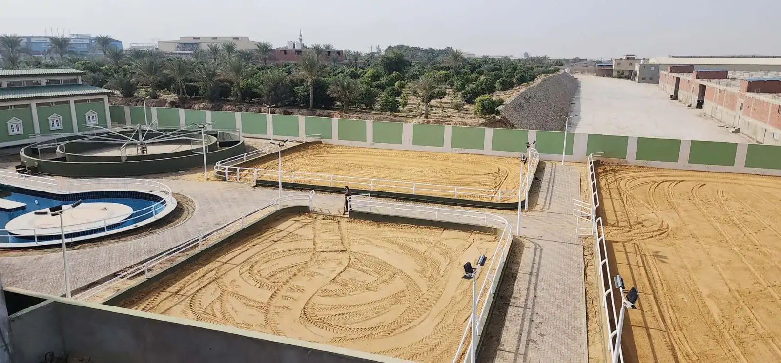 Ergela Al Najib — Arapski konji — fotografija projekta 5